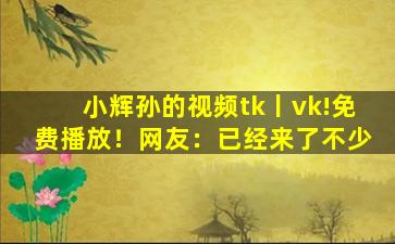 小辉孙的视频tk丨vk!免费播放！网友：已经来了不少